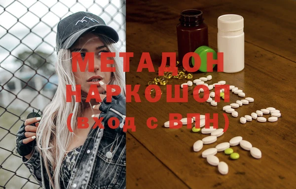 гидра Михайловка