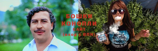 гидра Михайловка