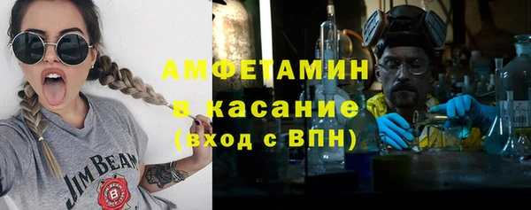 гидра Михайловка