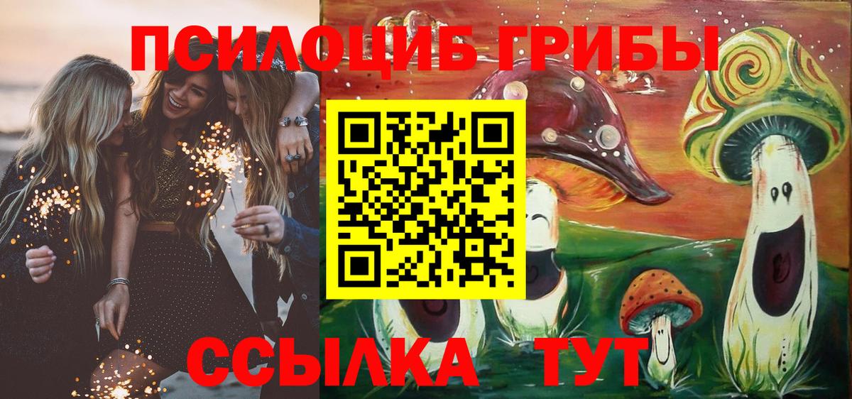 Псилоцибиновые грибы ЛСД  Торжок 