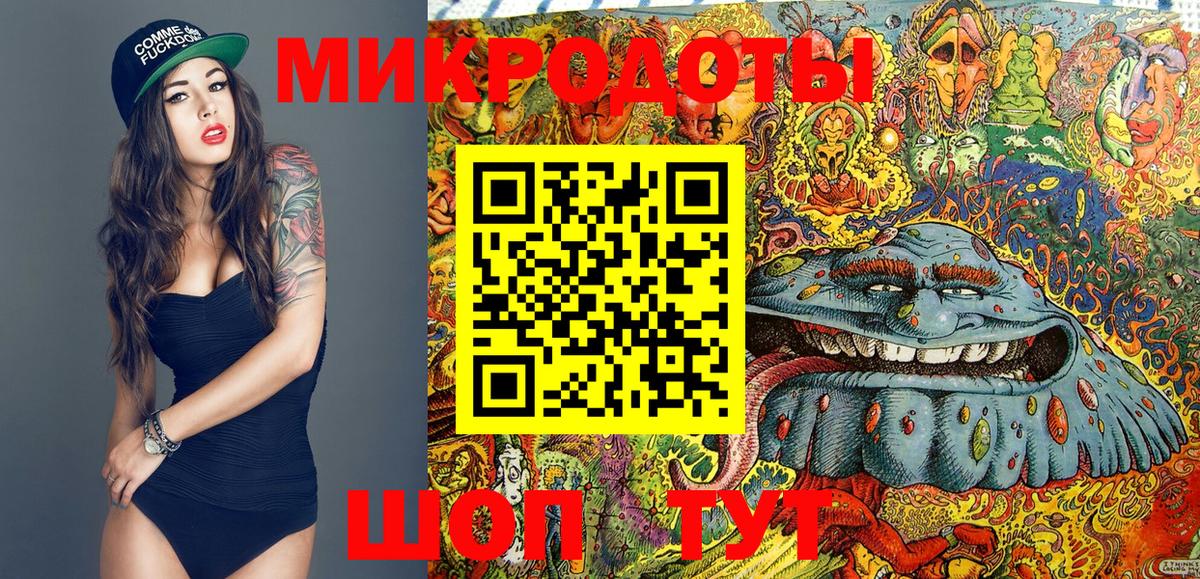 Псилоцибиновые грибы Psilocybe Торжок