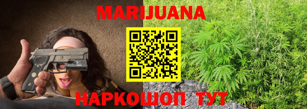 Конопля план  Каннабис сатива  Бошки Шишки семена  Торжок  Шишки марихуана конопля 